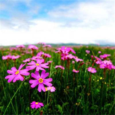 双奖加冕！新时达以技术创新领航...